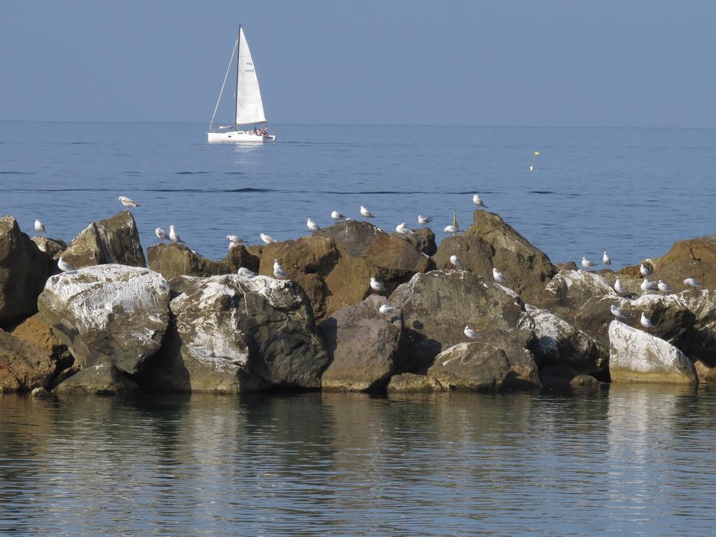 Villino Ermione Gasthuis Marina Di Pisa